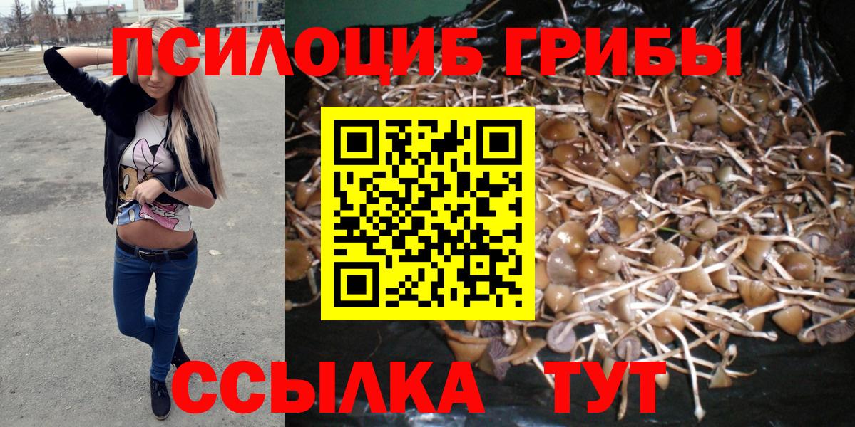 Псилоцибиновые грибы мухоморы Ртищево