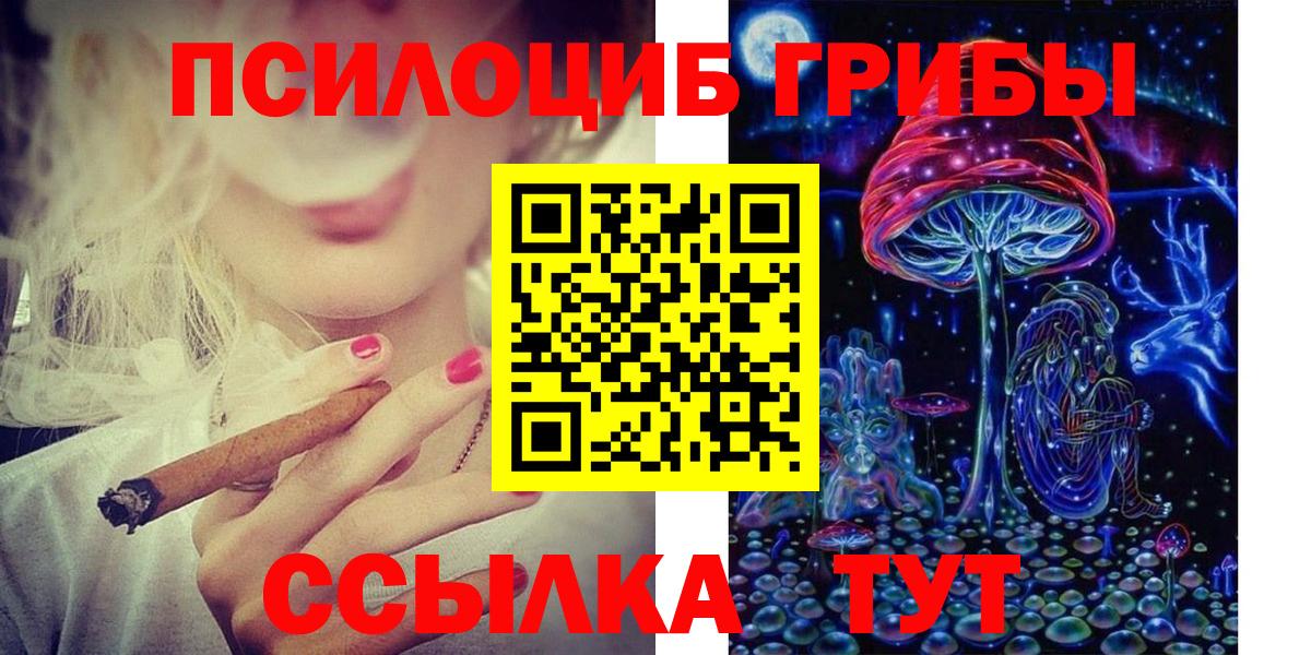 Псилоцибиновые грибы GOLDEN TEACHER Ртищево