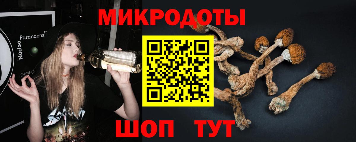 Псилоцибиновые грибы Psilocybine cubensis  Вход с VPN  Ртищево 